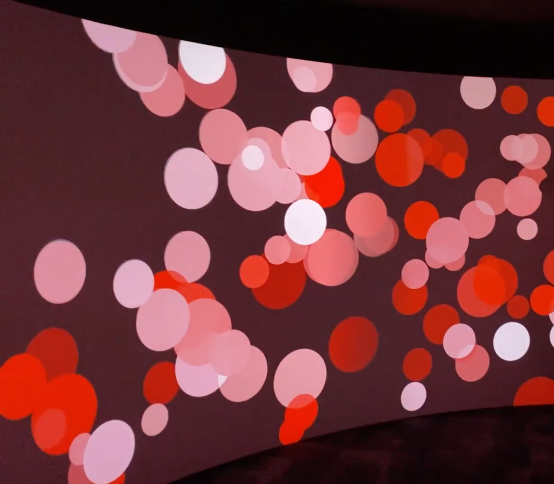 A Soundscape Speaks to Belonging
